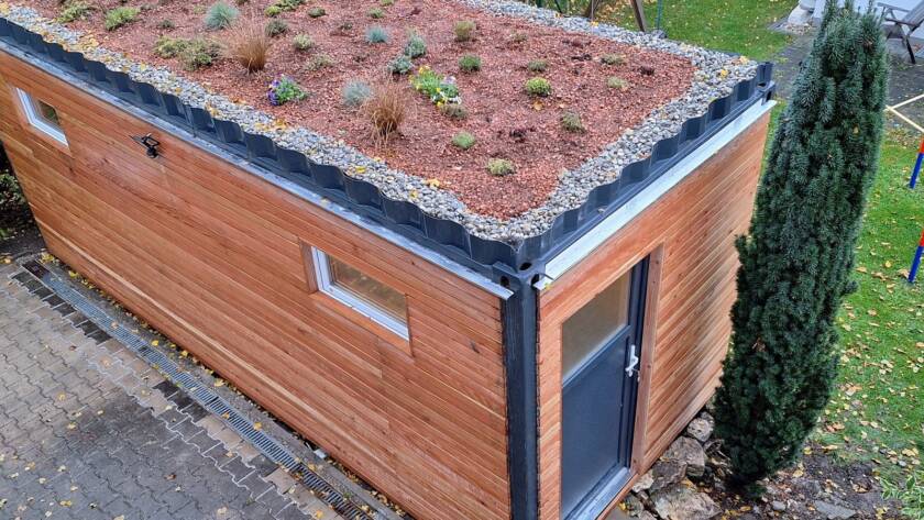 Gartenhaus 15 m² von Contain-us – Außenansicht mit begrüntem Dach, im Sedum stehen einzelne Blüten