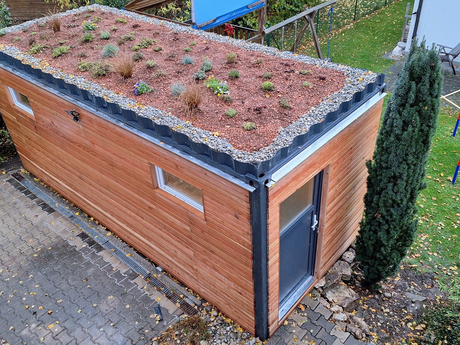 Gartenhaus 15 m² von Contain-us – Außenansicht mit begrüntem Dach, im Sedum stehen einzelne Blüten